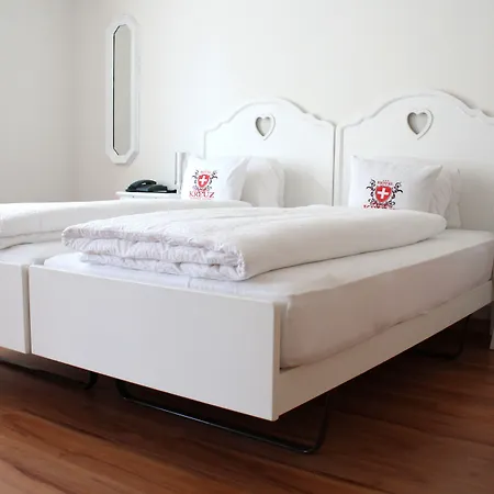 维赛斯克鲁兹酒店 因特拉肯