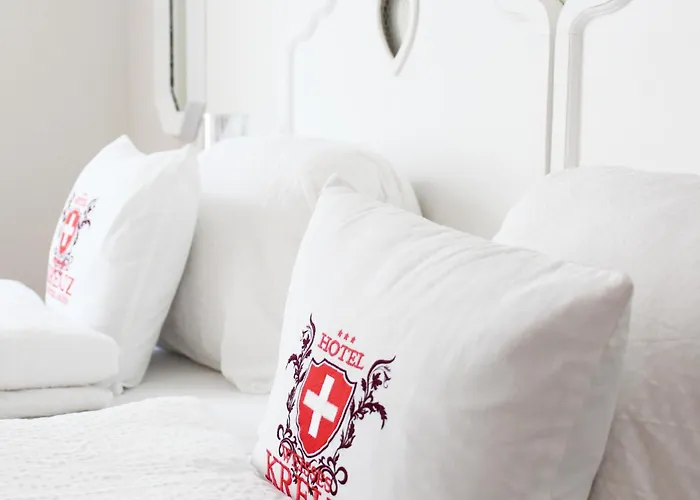 维赛斯克鲁兹酒店 3* 因特拉肯