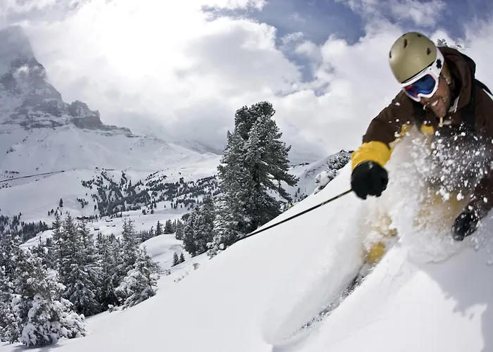 维赛斯克鲁兹酒店 酒店 3*